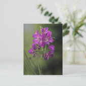 Vuurwerk Briefkaart (Staand voorkant)