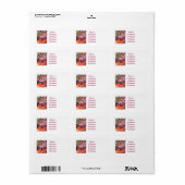 VUURWERK ETIKET (Full Sheet)