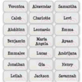 Vuurwerk Meerdere naamstickers Sticker (Voorkant)