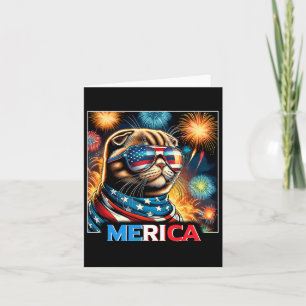 Vuurwerk Patriottische Schotse Fold Cat Amerika Kaart