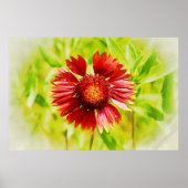 Vuurwiel Deken Wildflower Art Poster (Voorkant)
