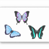 vynal sticker (Voorkant)