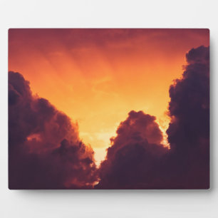 w bij weer fotoplaat