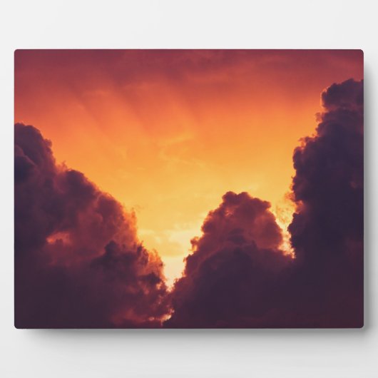 w bij weer fotoplaat (Voorkant)