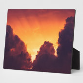 w bij weer fotoplaat (Zijkant)