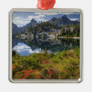 WA, Alpine Lakes Wilderness, Gem Lake, met Metalen Ornament