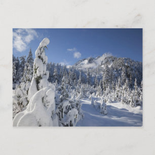 WA, Alpine Lakes Wilderness, Snow Lake bassin Briefkaart