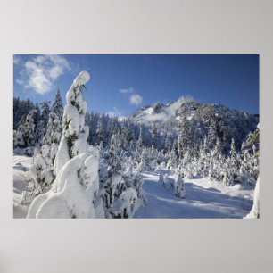 WA, Alpine Lakes Wilderness, Snow Lake bassin Poster
