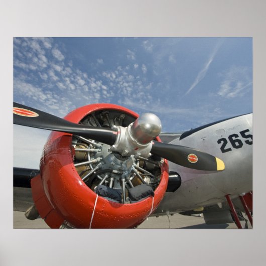 WA, Arlington, Arlington Fly-in, Tweede Wereldoorl Poster (Voorkant)