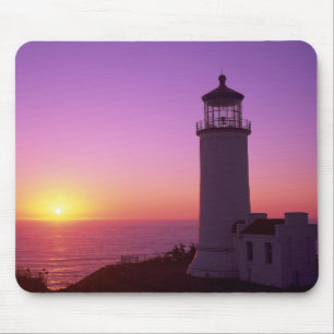 WA, Cape Disappointment State Park, North Head 2 Muismat
