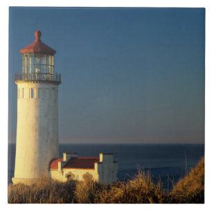 WA, Cape Disappointment State Park, North Head Tegeltje