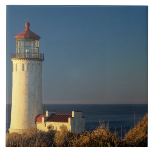 WA, Cape Diseption State Park, North Head Tegeltje (Voorkant)