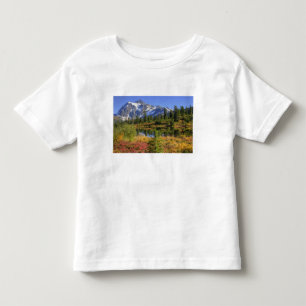 WA, Heather Meadows recreatiegebied, Mt. 2 Kinder Shirts