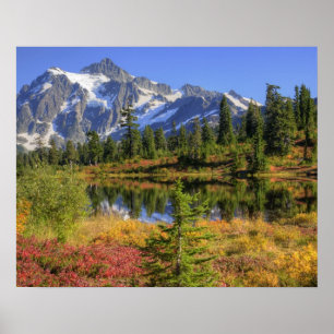 WA, Heather Meadows recreatiegebied, Mt. 2 Poster