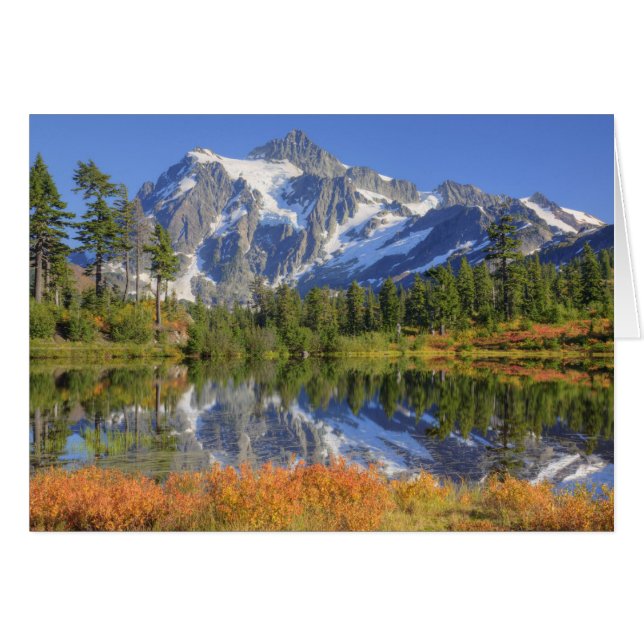 WA, Heather Meadows Recreation Area, Mt. (Voorkant Horizontaal)