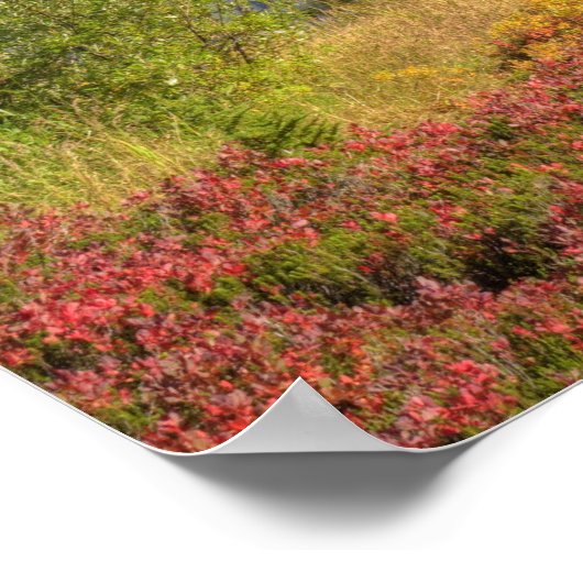 WA, Heather Meadows Recreation Area, MT2 Poster (Hoek)