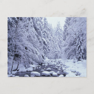 WA, Mount Baker-Snoqualmie National Forest, Briefkaart