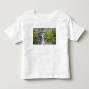 WA, Mount Rainier Nationaal Park, Christine Falls Kinder Shirts