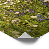 WA, Mt. Baker Wilderness, Mt. Shuksan en Poster (Hoek)