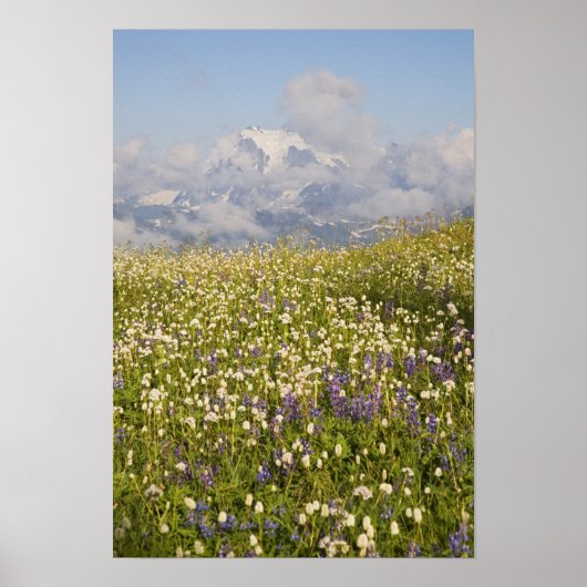 WA, Mt. Baker Wilderness, Mt. Shuksan en Poster (Voorkant)