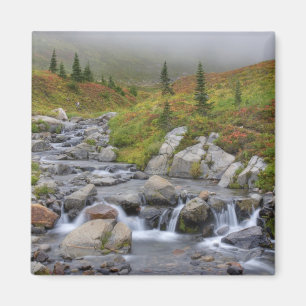 WA, Mt. Rainier Nationaal Park, Edith Creek Magneet