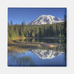 WA, Mt. Rainier Nationaal Park, Mt. Rainier Magneet