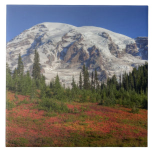 WA, Mt. Rainier Nationaal Park, Paradise Valley Tegeltje