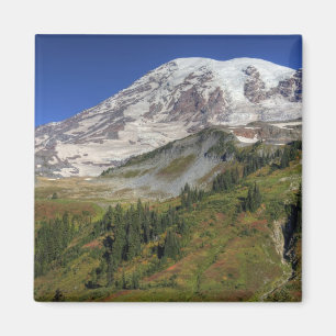 WA, Mt. Rainier Nationaal Park, uitzicht vanaf de Magneet