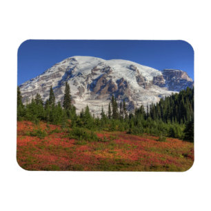 WA, Mt. Rainier National Park, Paradise Valley Magneet