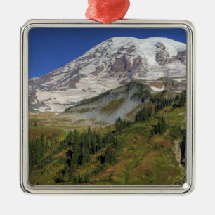 WA, Mt. Rainier National Park, uitzicht van Metalen Ornament