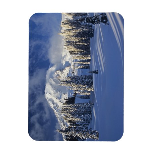 WA, Mt. Rainier NP, Mt. Rainier en Paradise Magneet (Verticaal)