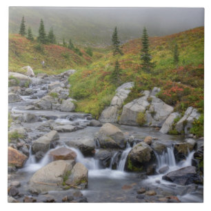 WA, Nationaal park Mount Rainier, Edith Creek Tegeltje