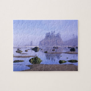 WA, Olympic National Park, Second Beach, Legpuzzel