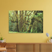 WA, Olympic NP, Hoh Rain Forest, Hall of Canvas Afdruk (Insitu (Woonkamer))