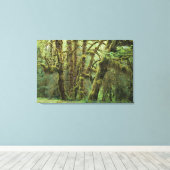 WA, Olympic NP, Hoh Rain Forest, Hall of Canvas Afdruk (Insitu (Houten vloer))