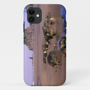 WA, Olympic NP, Second Beach met getidepools en iPhone 11 Hoesje