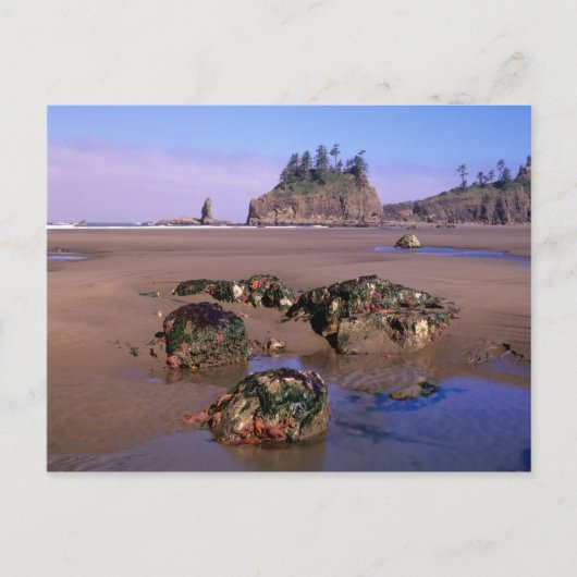WA, Olympic NP, Second Beach met getijdenpoelen en Briefkaart (Voorkant)