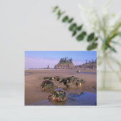 WA, Olympic NP, Second Beach met getijdenpoelen en Briefkaart (Staand voorkant)