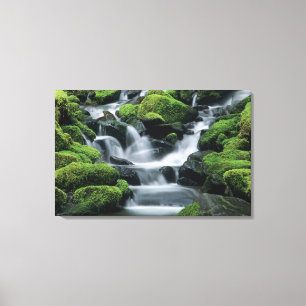 WA, Olympic NP, Sol Duc-vallei, stroom met Canvas Afdruk