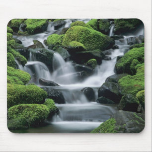 WA, Olympic NP, Sol Duc-vallei, stroom met Muismat