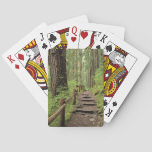 WA, Olympic NP, Sol Duc Valley, regenwoud Pokerkaarten