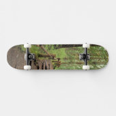WA, Olympic NP, Sol Duc Valley, regenwoud Skateboard (Horizontaal)