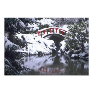 WA, Seattle, Maanbrug en vijver na winter Foto Afdruk