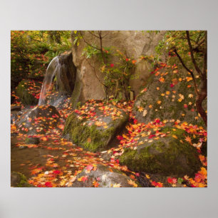 WA, Seattle, Washington Park Arboretum, Japans Poster