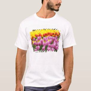 WA, Skagit Valley, Roozengaarde Tulip Garden, 2 T-shirt