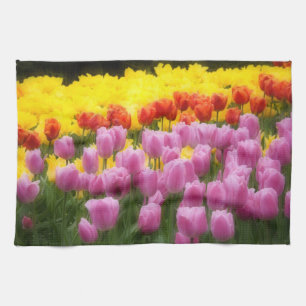 WA, Skagit Valley, Roozengaarde Tulip Garden, 2 Theedoek