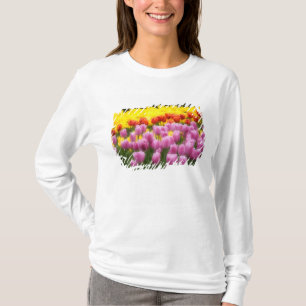 WA, Skagit Valley, Roozengaarde Tulpen Tuin, 2 T-shirt