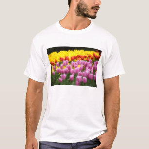 WA, Skagit Valley, Roozengaarde Tulpen Tuin, 2 T-shirt