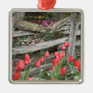 WA, Skagit Valley, Roozengaarde Tulpen tuin, Metalen Ornament