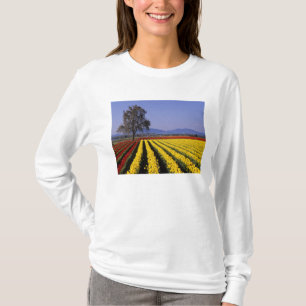 WA, Skagit Valley, Skagit Valley Tulip 2 T-shirt